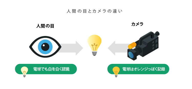 人間の目とカメラの見え方の違い